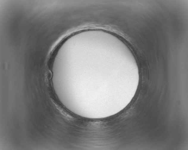 X0000054391502200508191925