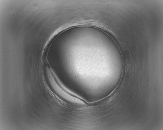 X0000054391506200508191925