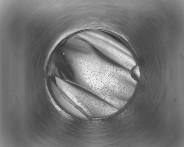 X0000054391515200508191925