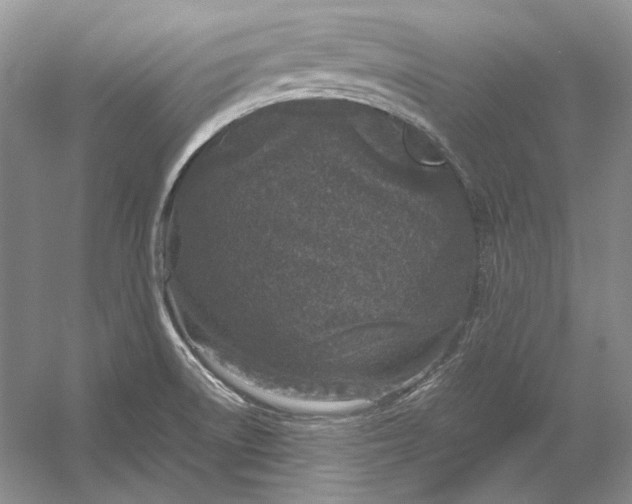 X0000054391522200508191925