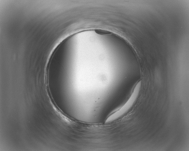 X0000054391527200508191925