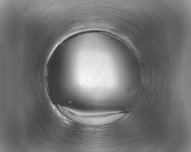 X0000054391532200508191925