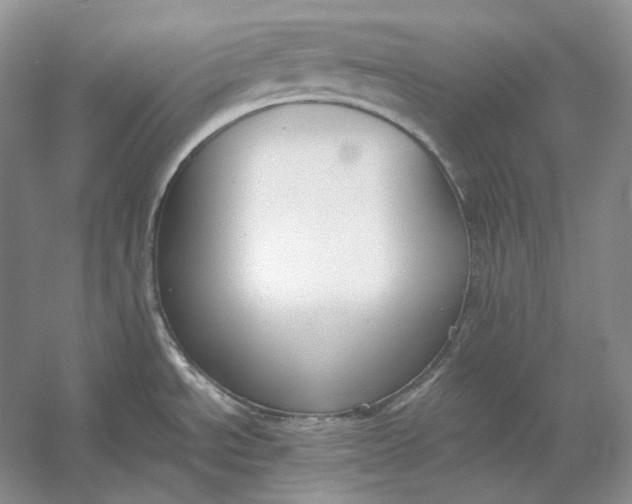 X0000054391534200508191925