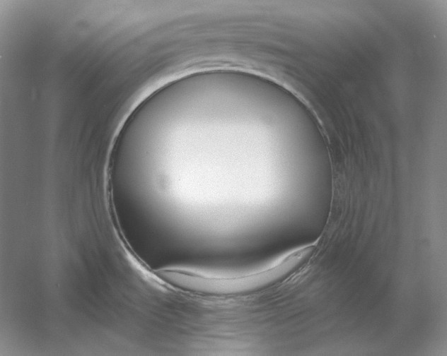 X0000054391535200508191925