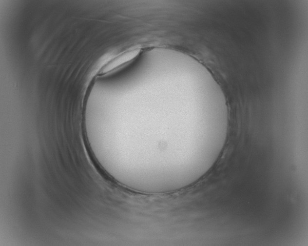 X0000054390003200508270046