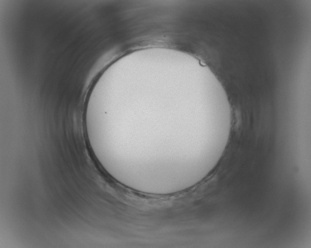 X0000054390004200508270046
