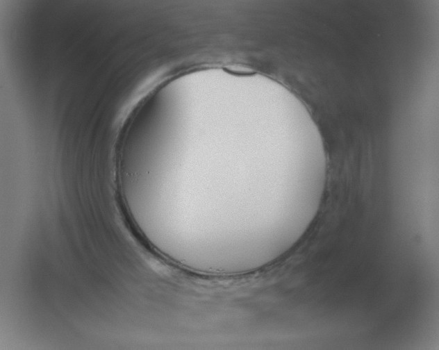 X0000054390005200508270046