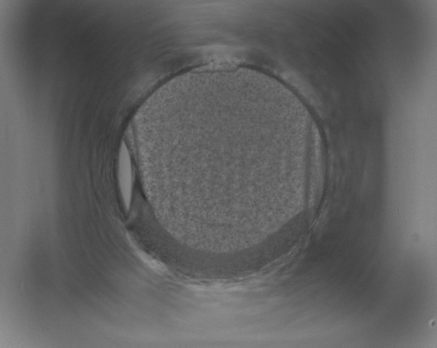 X0000054390009200508270046