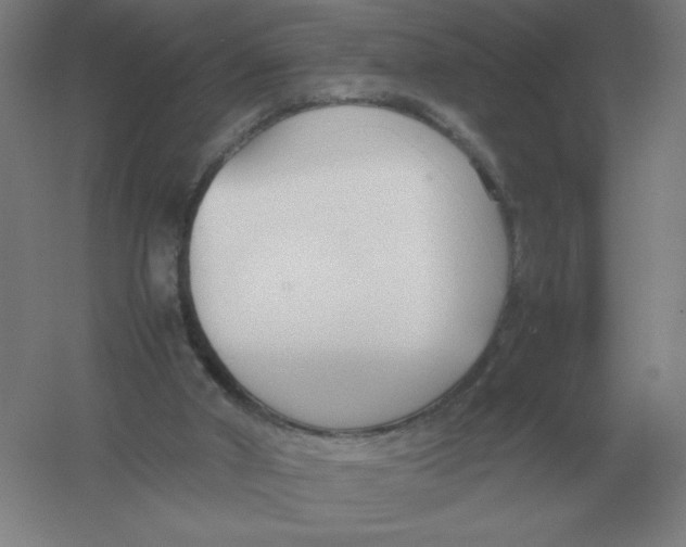 X0000054390010200508270046
