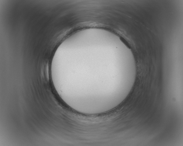 X0000054390014200508270046