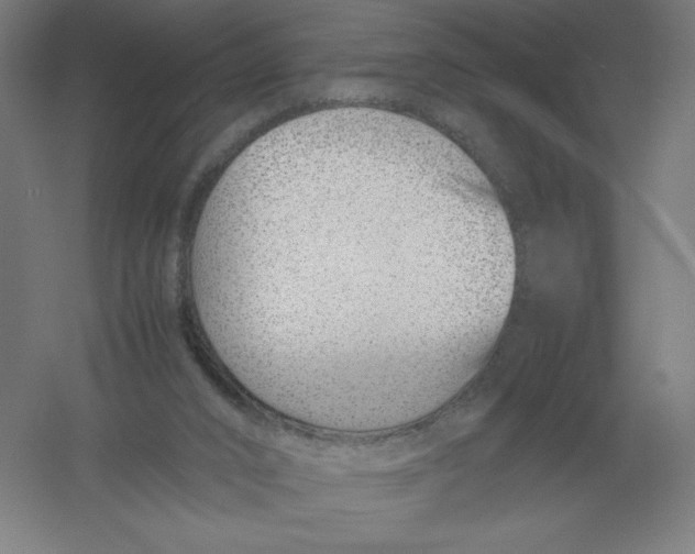 X0000054390016200508270046