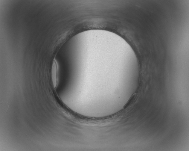 X0000054390017200508270046