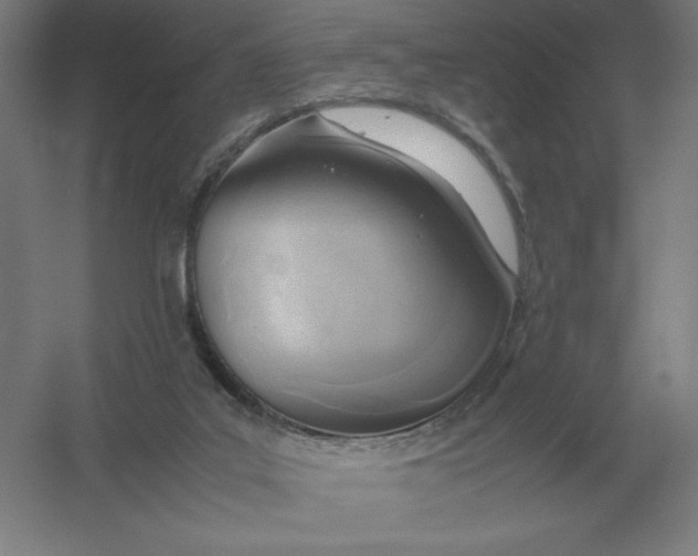 X0000054390019200508270046