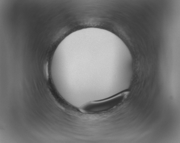 X0000054390020200508270046