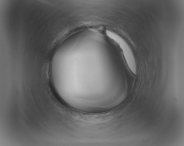 X0000054390023200508270046