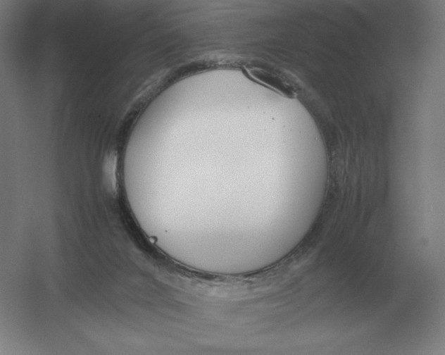 X0000054390024200508270046