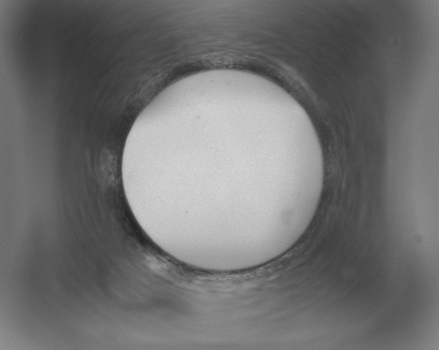 X0000054390025200508270046