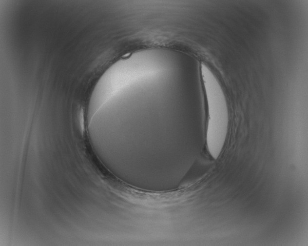 X0000054390027200508270046