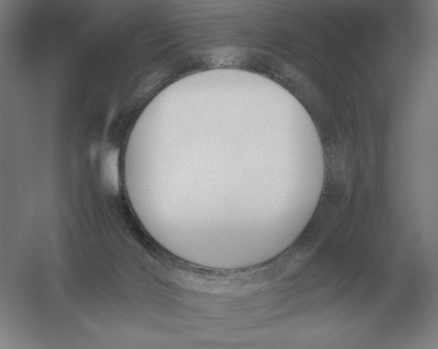 X0000054390028200508270046