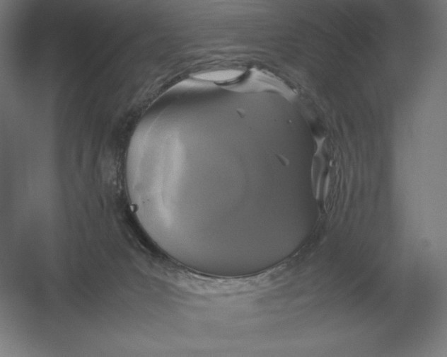 X0000054390031200508270046
