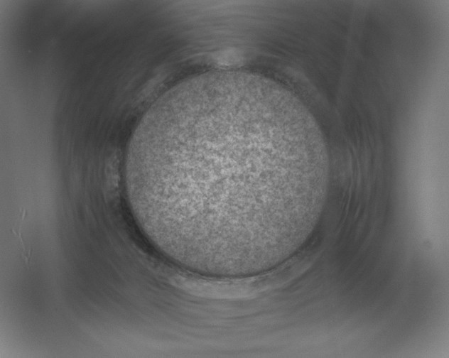 X0000054390032200508270046