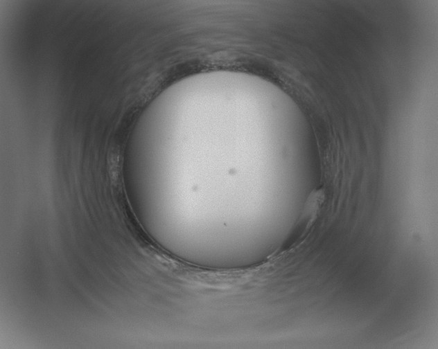 X0000054390033200508270046