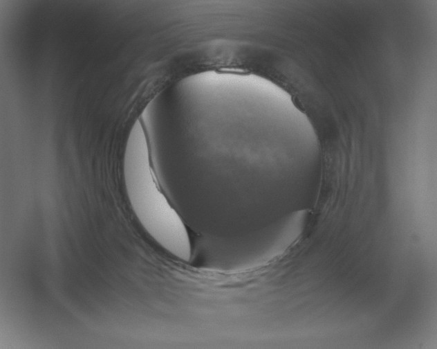 X0000054390035200508270046