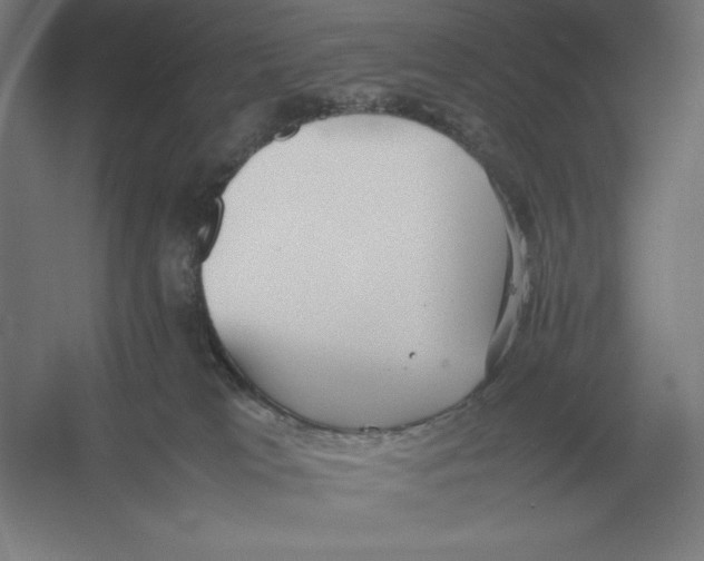 X0000054390037200508270046