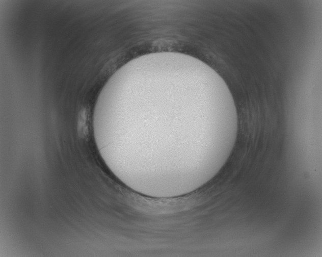 X0000054390038200508270045