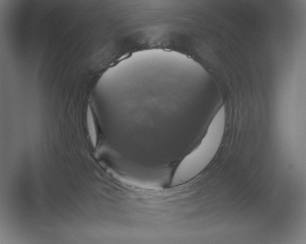 X0000054390039200508270045