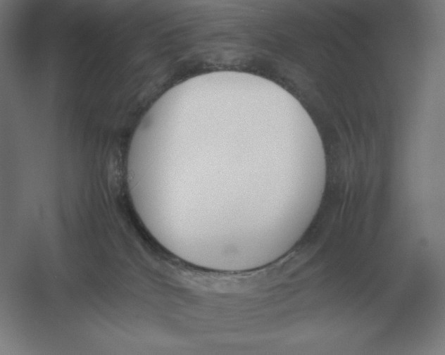 X0000054390040200508270045
