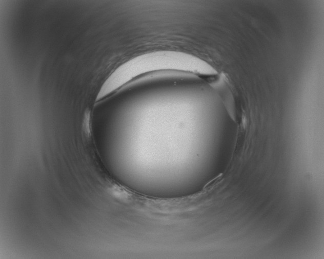X0000054390041200508270045