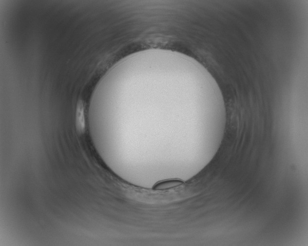 X0000054390042200508270045