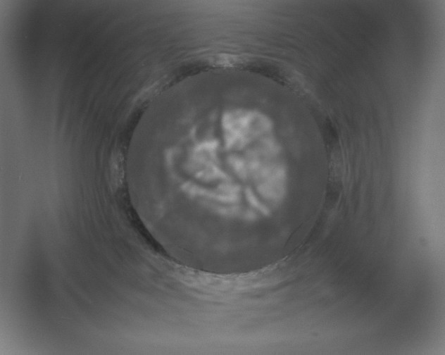 X0000054390043200508270045