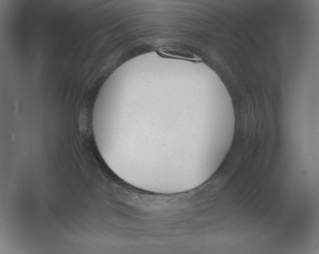 X0000054390044200508270045