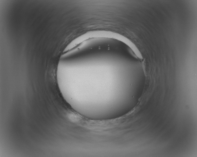 X0000054390045200508270045