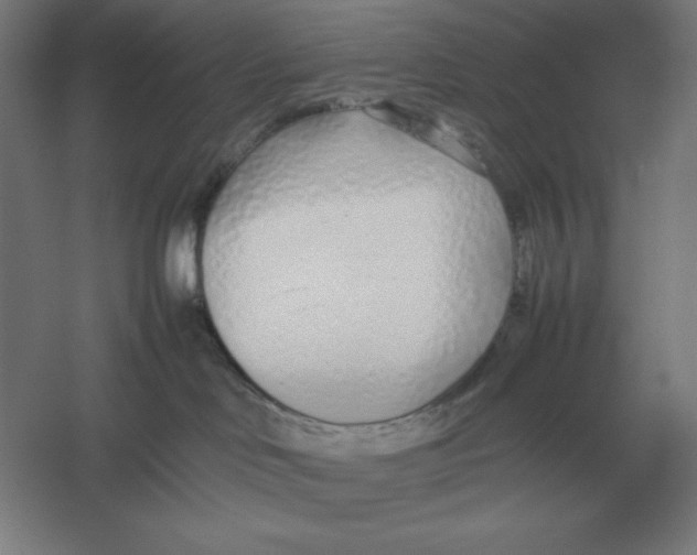 X0000054390046200508270045