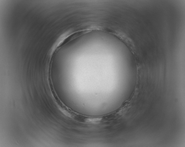 X0000054390051200508270045