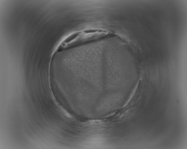 X0000054390052200508270045