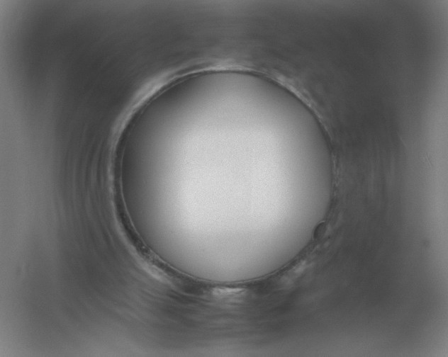 X0000054390055200508270045
