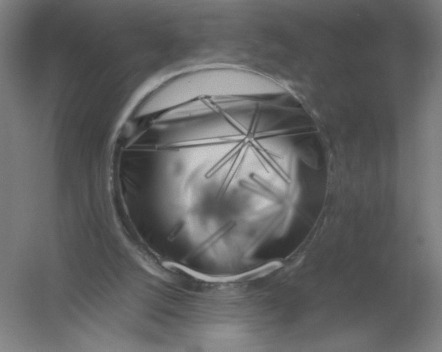X0000054390056200508270045