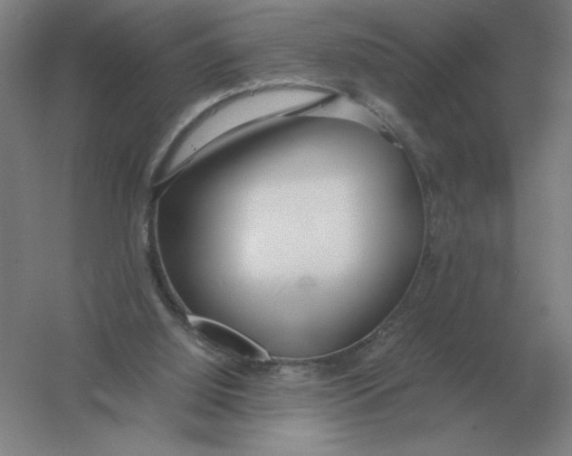 X0000054390060200508270045