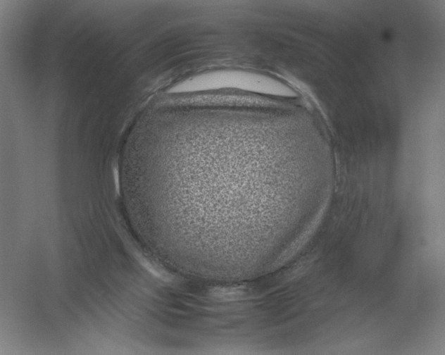 X0000054390061200508270045