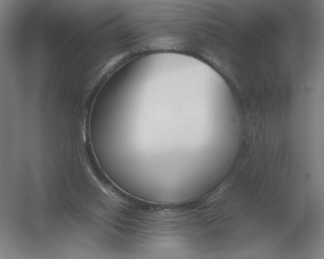 X0000054390062200508270045