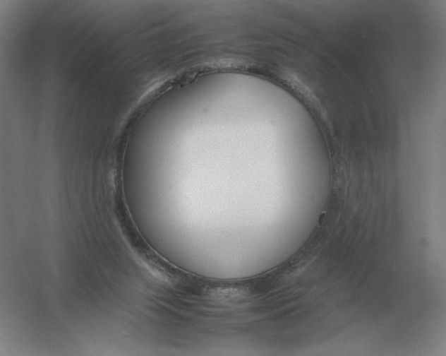 X0000054390063200508270045