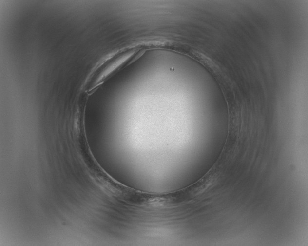 X0000054390064200508270045