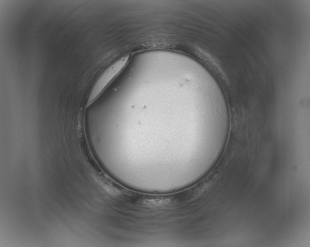 X0000054390065200508270045