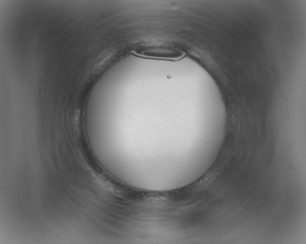 X0000054390066200508270045