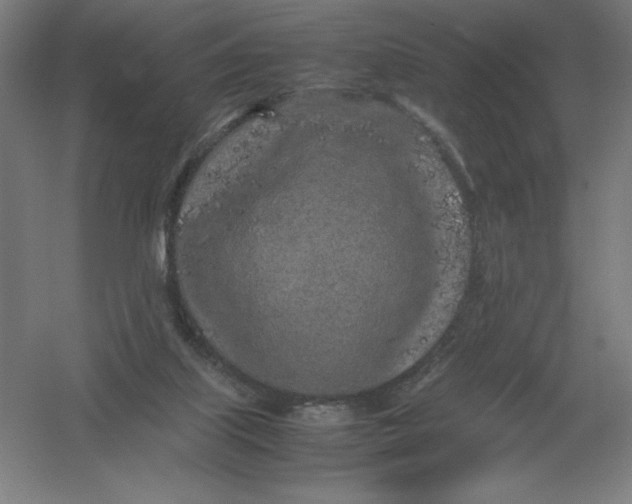 X0000054390067200508270045