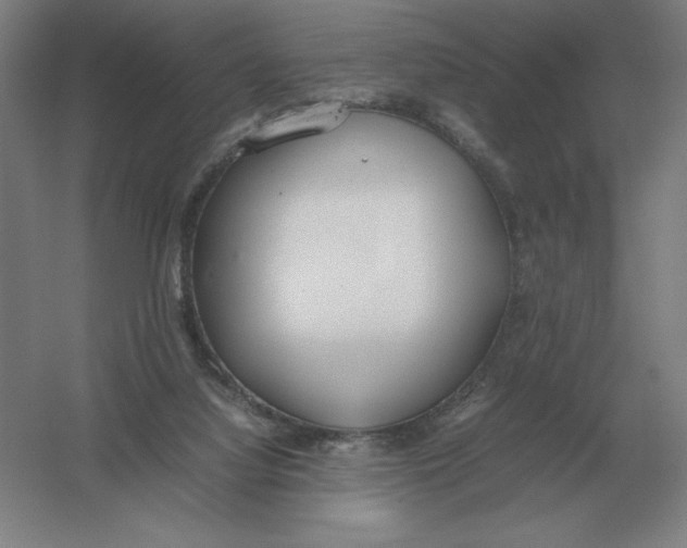 X0000054390068200508270045